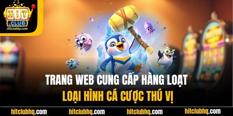 Trang web cung cấp hàng loạt loại hình cá cược thú vị